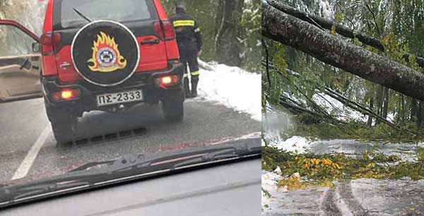 Ο οδηγός που απεγκλωβίστηκε στο Βίτσι ευχαριστεί την πυροσβεστική: Έπεφταν συνεχώς γύρω μου μεγάλα κλαδιά και δέντρα