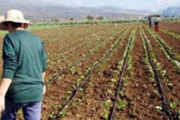 Υπομέτρο 3.1 «Στήριξη για νέες συμμετοχές σε συστήματα ποιότητας»