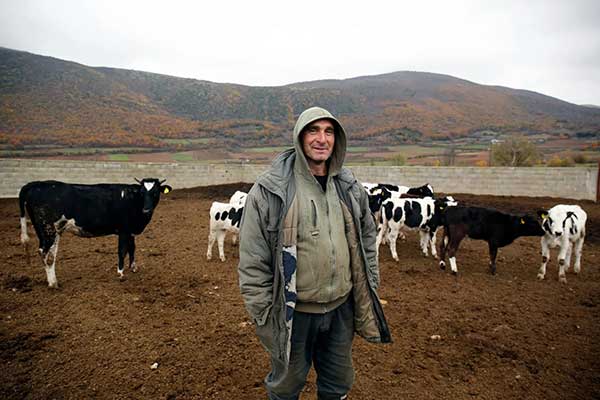 Η ζωή με 60 αγελάδες σε ένα χωριό «ούτε δέκα κατοίκων» – Ένας παραγωγός στην Κοζάνη εξηγεί