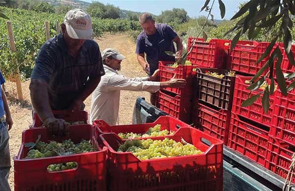 Παράταση διαμονής για τους εργάτες γης από το ΥΠΑΑΤ