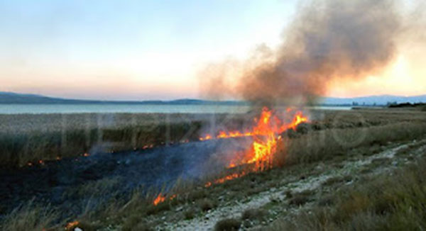 Αναβιώνει το έθιμο της πυρολατρείας στη λίμνη Πετρών… (ΒΙΝΤΕΟ)