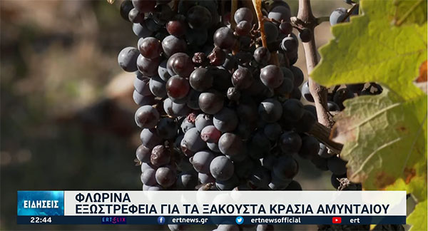 Τα ξακουστά κρασιά του Αμυνταίου και η ένταξή τους στην Ευρωπαϊκή αγορά