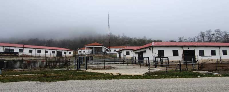 Δημοπρασία εκποίησης 140 τουλάχιστον αμνών φυλής «Φλωρίνης- Πελαγονίας» του Πρότυπου Κέντρου Κτηνοτροφίας και Εκπαίδευσης Βλάστης Κοζάνης για το 2024