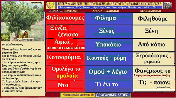 Ποντιακές λέξεις με αρχαιοελληνικές προέλευση: Φιλίασκουμες, Ξένζα, ξένισσα, Αφκά ,αφκάτου, Κοτσορύμια, Ομολόγα το, ομολοία, Ντο