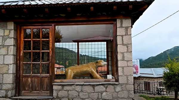 Μηλιά Μετσόβου: Το χωριό των ξυλοκόπων που αγάπησε μια αρκούδα και την βαλσάμωσε. Δείτε τον άγνωστο καταρράκτη της από ψηλά