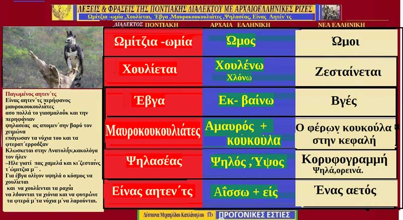 Ποντιακές λέξεις και φράσεις με αρχαιοελληνική προέλευση: Ωμίτζια -ωμία ,Χουλίεται, Έβγα ,Μαυροκουκουλιάτες ,Ψηλασέας, Είνας Αητέν΄τς