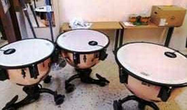 Προμήθεια μουσικών οργάνων για την Φιλαρμονική Ορχήστρα «Ο Αριστοτέλης» του Δήμου Εορδαίας