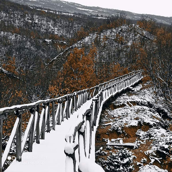 Χιονισμένα Μπουχάρια Μικροβάλτου (Φωτογραφίες) !!!