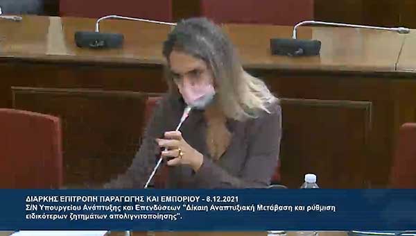 Πέτη Πέρκα: 10% παραπάνω παίρνει η Δυτική Μακεδονία επιπλέον από τις υπόλοιπες περιφέρειες