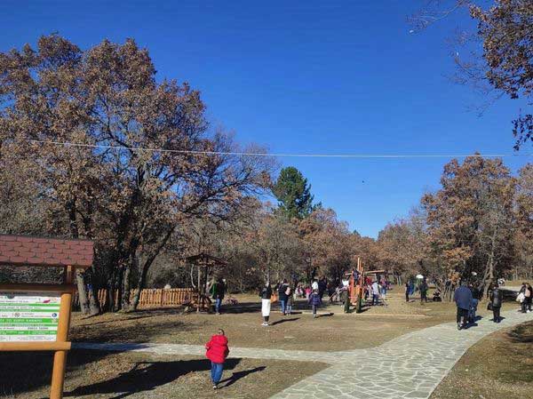Χάρης Κουζιάκης: Η αναβάθμιση του δάσους Κουρί -εικόνες που δικαιώνουν την επιλογή της Δημοτικής Κίνησης “Κοζάνη Τόπος να Ζεις”