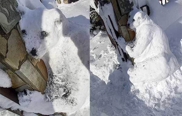 Πολική αρκούδα από χιόνι φιλοτεχνήθηκε σε αυλή σπιτιού