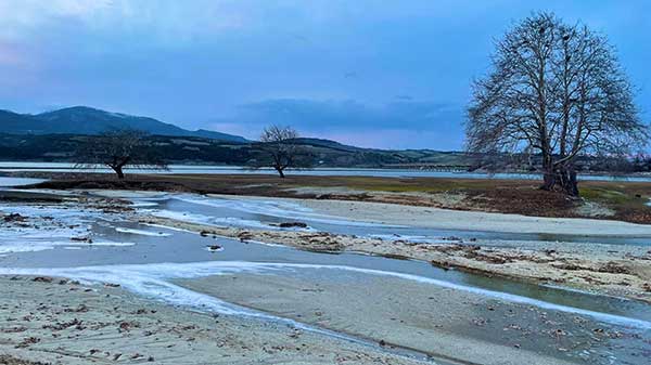 Φωτογραφία της ημέρας: Το παγωμένο πλατανόδασος του Ρυμνίου