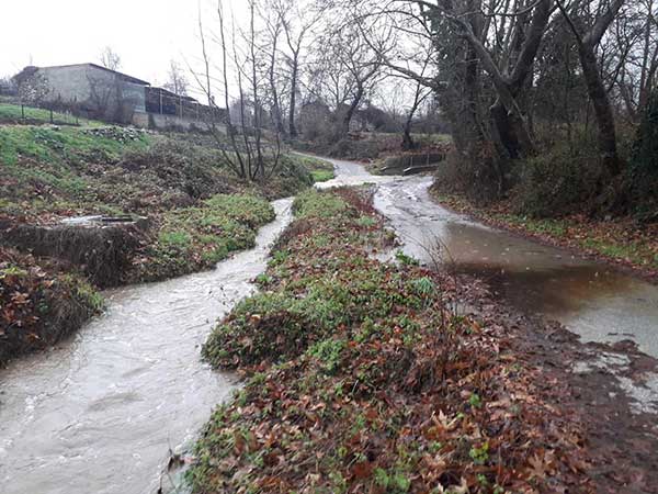 Δήμος Βελβεντού: Ζημιές, πεσμένα δέντρα και βράχια σε αγροτικούς δρόμους