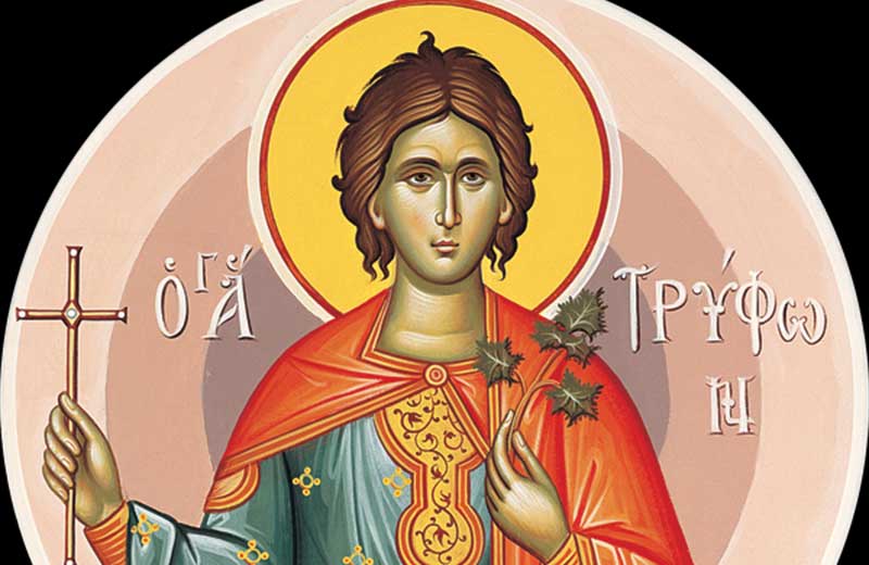 Άγιος Τρύφωνας, ο προστάτης των αμπελουργών: Μεγάλη γιορτή της ορθοδοξίας σήμερα 1 Φεβρουαρίου