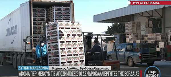 Ακόμα περιμένουν να αποζημιωθούν από τον περυσινό παγετό οι αγρότες της Εορδαίας