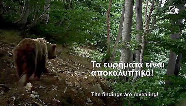 Η κρυφή ζωή του δάσους – Σημαντικά ευρήματα καταγράφτηκαν από την κάμερα του Αρκτούρου