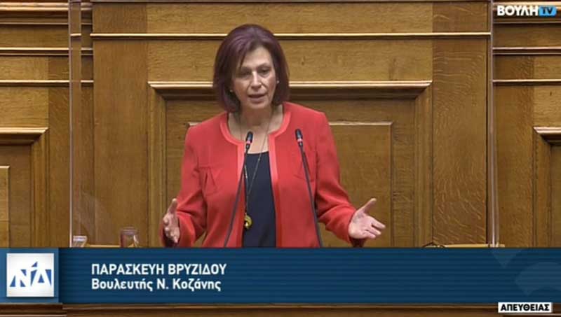 Ομιλία της Παρασκευής Βρυζίδου κατά τη συζήτηση στη Βουλή για τον Αναπτυξιακό Νόμο