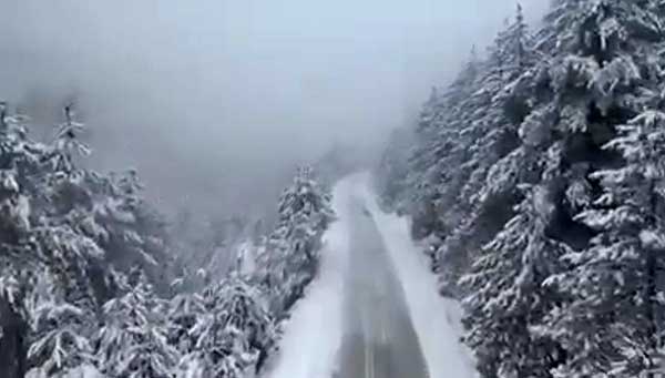Μαγικά Πιέρια Όρη (Βίντεο)