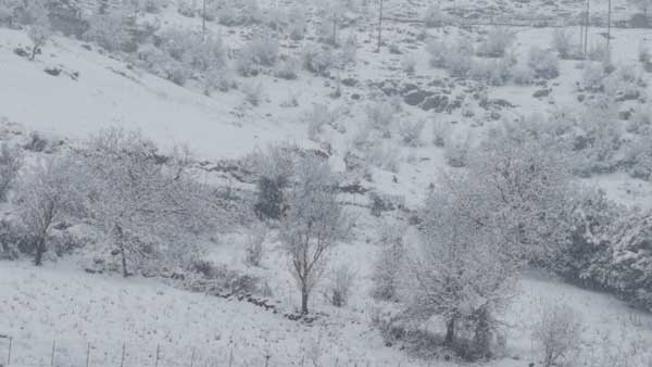 Σιάτιστα: Δείτε video με παιδιά που κάνουν τσουλήθρα μέσα στα χιόνια στα Περβόλια – Γεράνεια