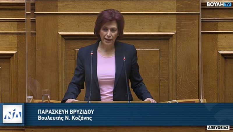 Ομιλία Παρασκευής Βρυζίδου στο ν/σ του Υπουργείου Εργασίας και Κοινωνικών Υποθέσεων