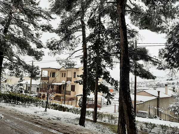 Το χιονισμένο τοπίο στον Ξενία