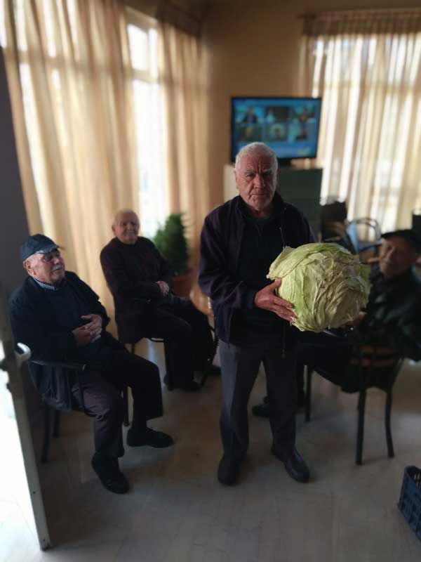 Λάχανο γίγας στην Άνω Κώμη