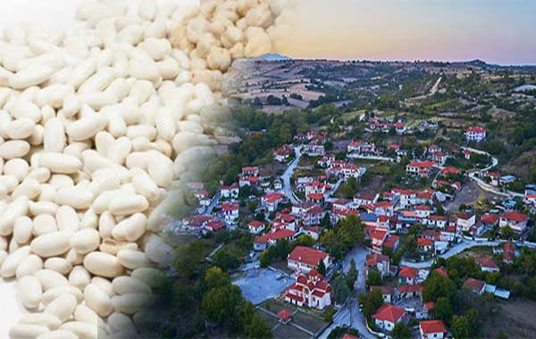 Ιδρύθηκε ομάδα παραγωγών οσπρίων στη Μηλιά Κοζάνης