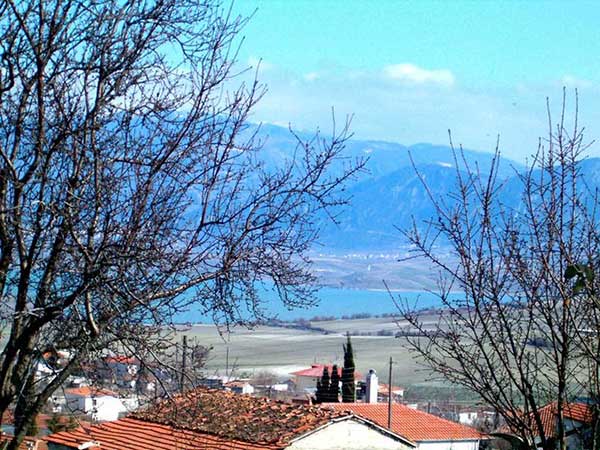 Σορός άνδρα βρέθηκε στο Σπάρτο