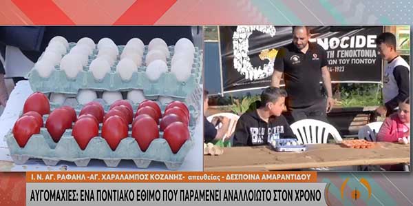 Όλα έτοιμα για τις αυγομαχίες στον Άγιο Ραφαήλ της κοινότητας Άγιου Χαραλάμπους