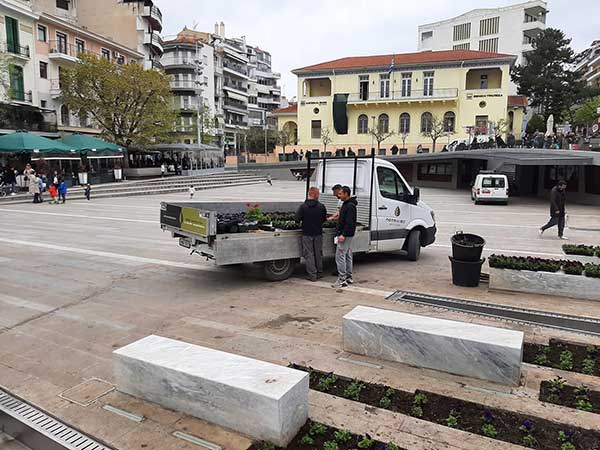 Λουλούδια στα παρτέρια της κεντρικής πλατείας της Κοζάνης