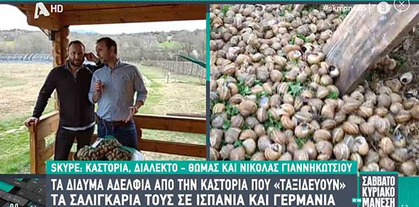Τα δίδυμα αδέρφια από την Καστοριά που “Ταξιδεύουν” τα σαλιγκάρια τους σε Ισπανία και Γερμανία