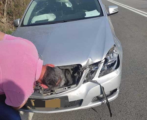 Σιάτιστα: Σύγκρουση ταξί με σκύλο