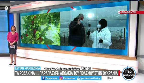 Βελβεντός Κοζάνης: Ο πόλεμος στην Ουκρανία συμπαρασύρει τις εξαγωγές ροδάκινων