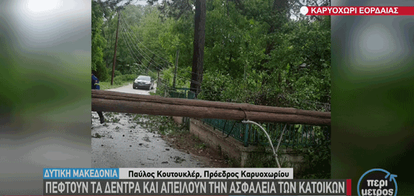 Πέφτουν τα δέντρα και απειλούν την ασφάλεια των κατοίκων