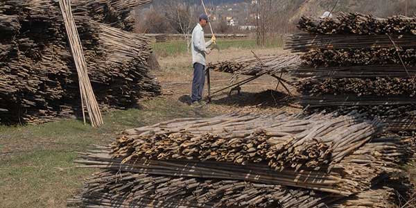 Φλώρινα: Στροφή στη μεταποίηση αγροτικών προϊόντων και η επιστροφή της φράουλας