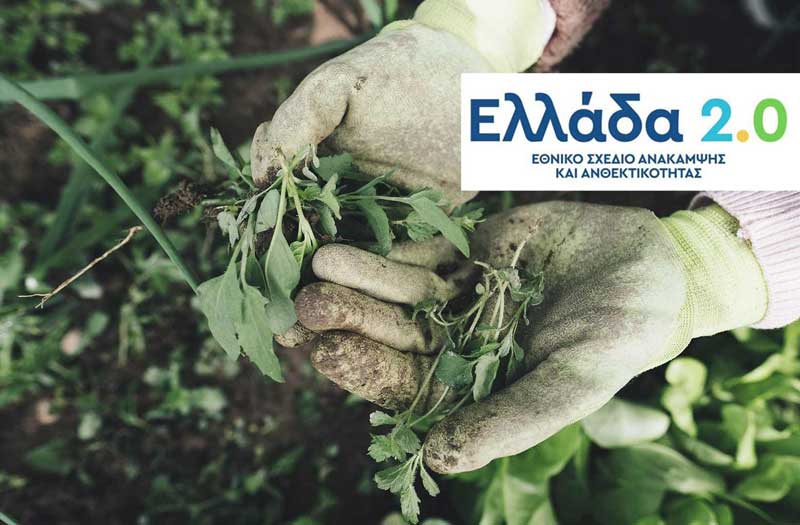 Ξεπέρασε κάθε προσδοκία η έναρξη της υποβολής αιτήσεων ενίσχυσης στο υποέργο «Καινοτομία και Πράσινη Μετάβαση στη Μεταποίηση Αγροτικών Προϊόντων»