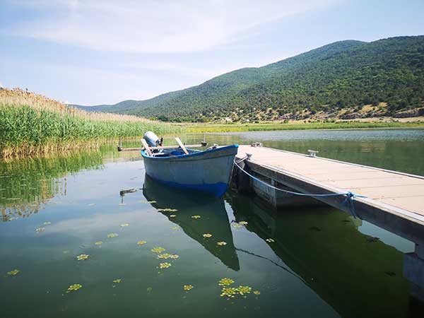 Ελληνογερμανική Ανταλλαγή Εμπειρογνωμόνων “Ένα Βήμα Μπροστά: Η Ανάπτυξη της Υπαίθρου και ο Ρόλος των Νέων”