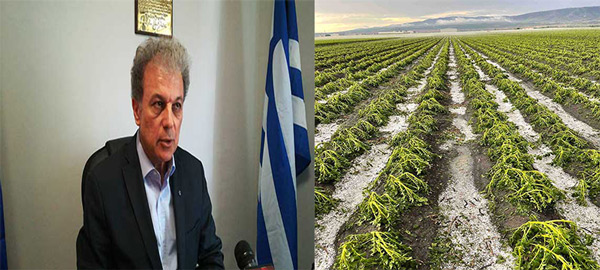 Συνάντηση του Γιώργου Αμανατίδη με τους κατοίκους του Δρεπάνου με αιτία τις πρόσφατες καταστροφές στις καλλιέργειες