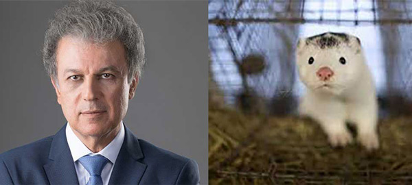 Γιώργος Αμανατίδης: Άνοιξε σήμερα η πλατφόρμα για την επιδότηση γουνοφόρων ζώων παραγωγής