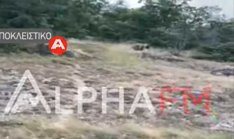 Αρκούδα έξω από το Τοιχιό Καστοριάς
