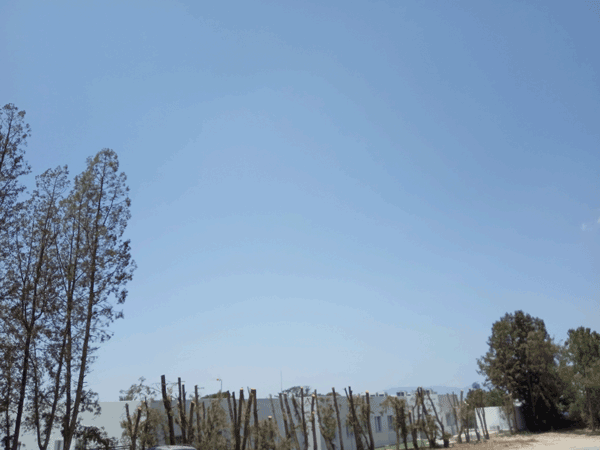 Έξω γήινοι. Του Ιωάννη Αριστοτέλη Γκούμα