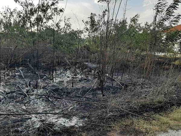 Έσβησε η φωτιά στην περιοχή Κάργα του Άργους Ορεστικού