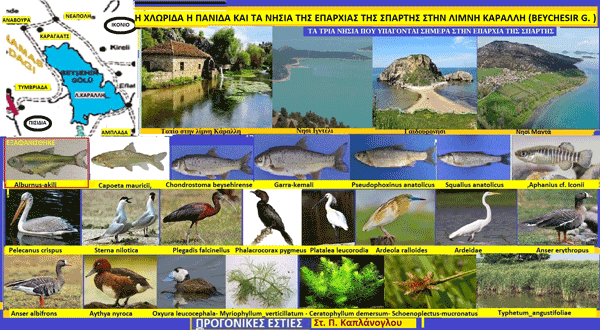 Η λίμνη Κάραλλη ή Κάραλ(λ)ις της Πισιδίας. Του Σταύρου Π. Καπλάνογλου