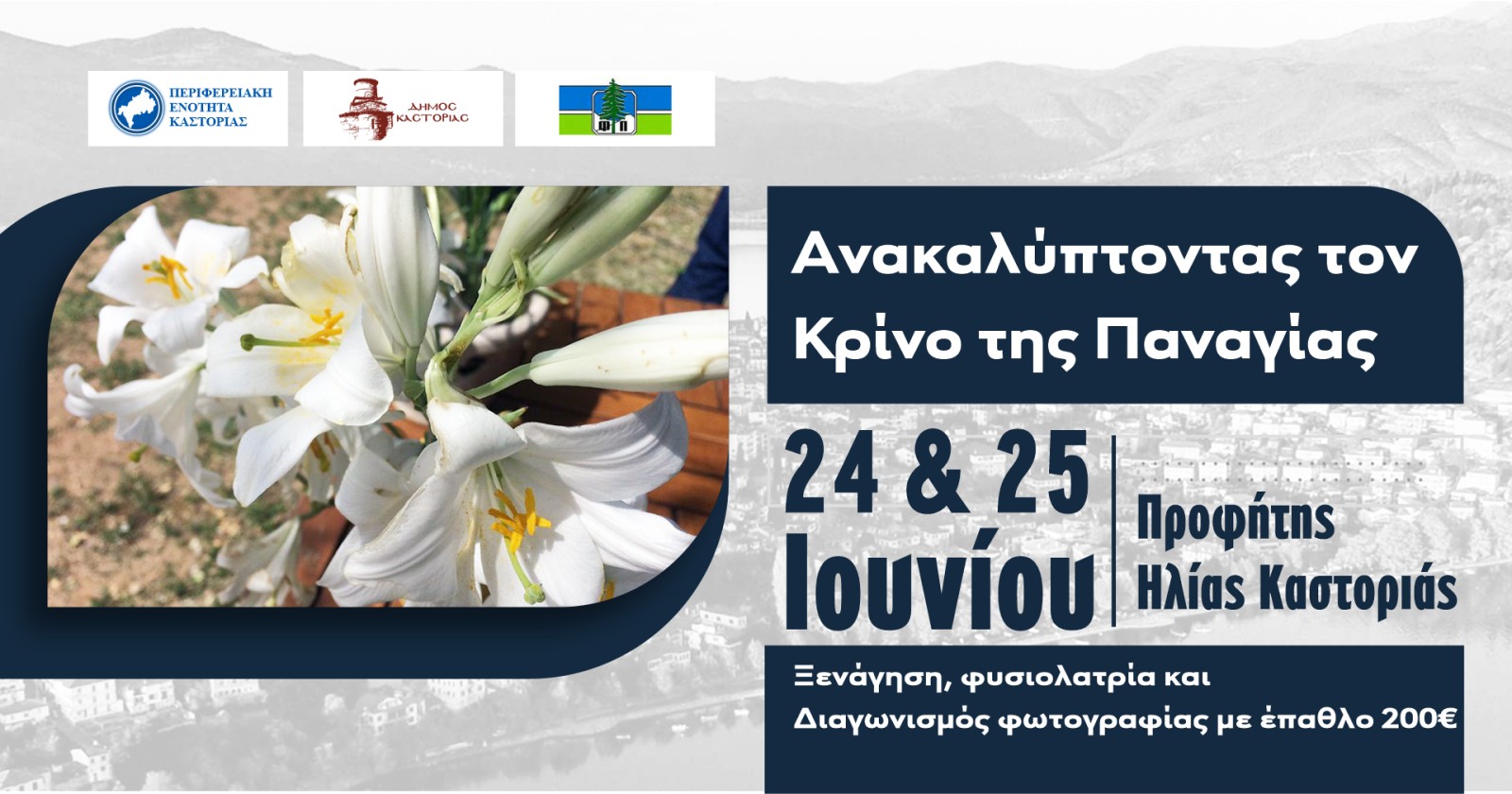 Εκδήλωση «Ανακαλύπτοντας τον Κρίνο της Παναγίας» την Παρασκευή 24 και το Σάββατο 25 Ιουνίου στον Προφήτη Ηλία Καστοριάς