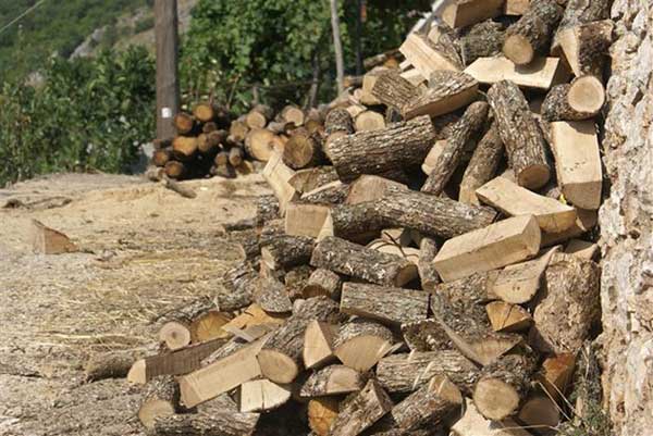 Υπουργείο Περιβάλλοντος και Ενέργειας: Δωρεάν καυσόξυλα στους κατοίκους ορεινών περιοχών