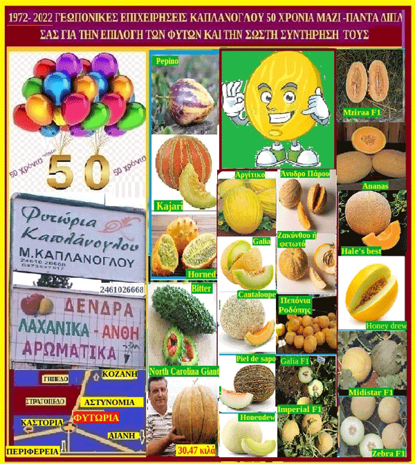 Ποικιλίες πεπονιών- Cucumis melo. Της Μάρθας Στ. Καπλάνογλου