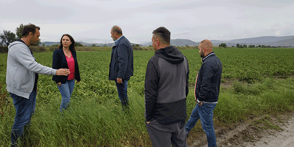 Καλλιόπη Βέττα: «Η κυβέρνηση οφείλει να εκκινήσει άμεσα τις διαδικασίες και να αποζημιώσει το 100% της ζημιάς από την κακοκαιρία και τις χαλαζοπτώσεις – Επίσκεψη στο Δρέπανο»