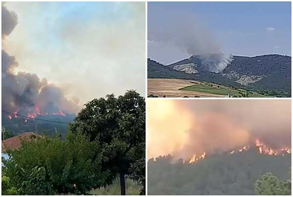 Φωτιά στον Έβρο: Πολύ μεγάλο το πύρινο μέτωπο – Πολύ δύσκολη πυρκαγιά, αγώνας να μη φτάσει στη Δαδιά