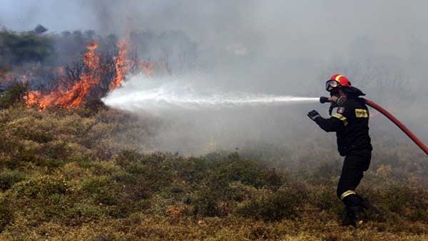 Μήνυμα 112 για την Μακρίσια Ηλείας -Μάχη με τις φλόγες στο Εθνικό Πάρκο Δαδιάς -Εκκένωση οικισμών Βρίσας και Σταυρού Μυτιλήνης