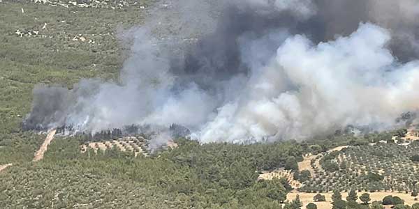 Νέα μέτωπα: Φωτιά στα Μέγαρα, εκκενώθηκε προληπτικά η Ζάχουλη – Πυρκαγιά και στην Αγία Τριάδα Μαρκοπούλου